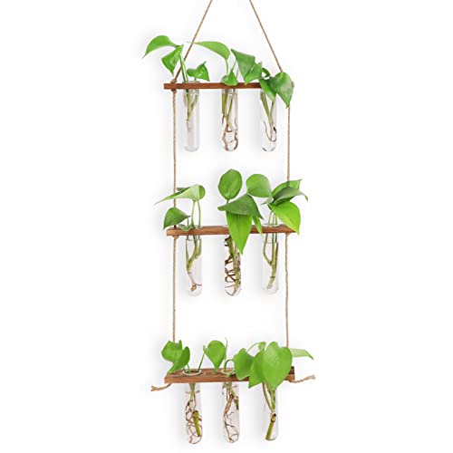 Wandterrarium-Vermehrungsstation für hydroponische Pflanzen - 3-stöckige hängende Reagenzglasvase mit 7 Reagenzgläsern 3 Nicht abfärbenden Nägeln (dunkle Holzfarbe) von CRITIVE-SHOP