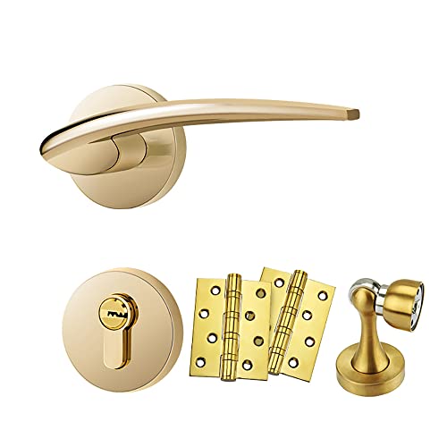 CROWEL Modernes Türgriff-Set aus gebürstetem Satin-Nickel – stummes Türschloss for geteilte Räume for den Innen- und Außenbereich(ModelA) von CROWEL