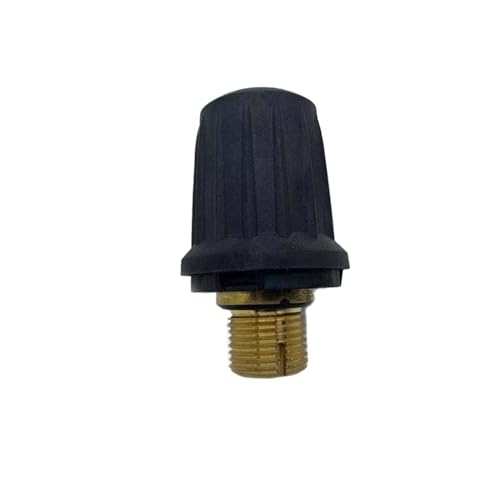Dampfreiniger-Messingventil, Reinigerzubehör SC1 SC2 SC4 SC5 CTK10 SG4-4 Messing-Sicherheitsventil-Kit Elektrische Haushaltsteile(Sg4 4) von CRYSEU