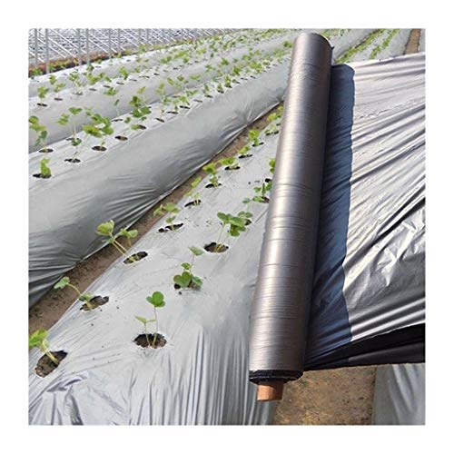 Mulchfilm, 50m/Partei Silber schwarz Pflanzfolie, Breite 0,6m~2m Dicke 0,012mm Garten Gewächshaus reflektierende Unkrautbekämpfung Decke, Obstgarten Kunststofffolie(Width 1m) von CRYSEU