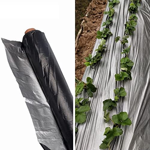 Mulchfolie, 1 Stück 10–60 m Kunststoffmulch for Gartengewächshäuser, 0,012 mm, reflektierende Unkrautbekämpfung for Erdbeeren, warm halten, silbrig-schwarze Folie(Length 30m,Width 0.6m) von CRYSEU