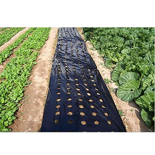Mulchfolie, Schwarze perforierte PE-Folie mit 5 Löchern for Gewächshäuser, 10 m Länge, Mulch for die Landwirtschaft, for Unkrautjäten, for Mulchen von Gemüsemembranen for den Garten, 1 Stück von CRYSEU