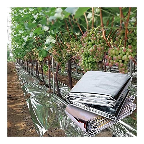 Mulchfolie, Silberbeschichteter Mulch for Gewächshäuser, doppelseitig reflektierender Mylar-Folien-Patch for den Außenbereich, Abdeckungen for landwirtschaftliche Gemüsepflanzen(1X30M) von CRYSEU