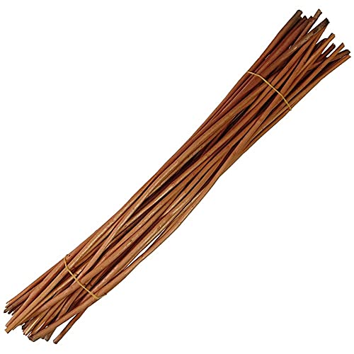 CSB-Center Staken aus Weide, rot gekocht & geschält für z.B. Kreuzboden, Ø 3-5mm - 40cm - PC = 40 Stück von CSB-Center
