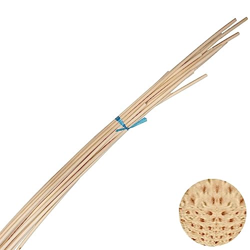 CSB-Center Stangenpeddig Peddigrohr Stangen Stäbe lang Ø 8mm 500g ~22m CSB-Center Stangenpeddig Peddigrohr Stangen Stäbe lang Ø 8mm 500g ~22m von CSB-Center