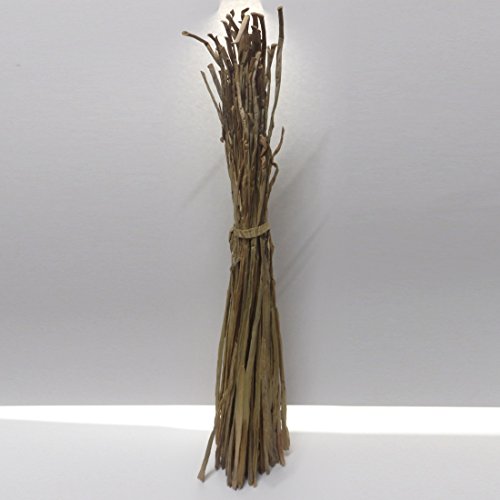 CSB-Center Wasserhyazinthe Wasser-Hyazinthe Flechtmaterial 40-80cm 500g Bund von CSB-Center