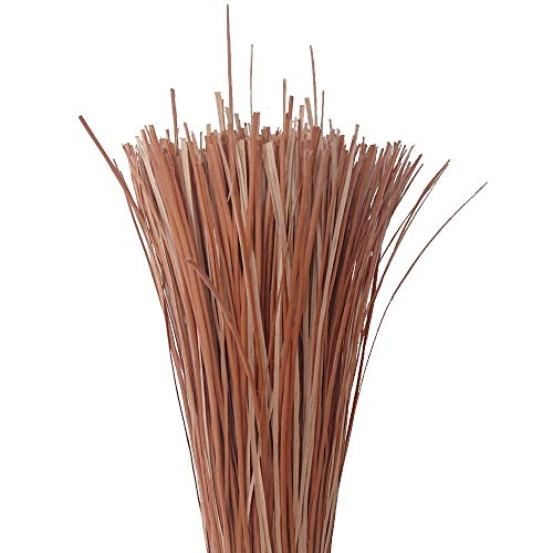 CSB-Center Weidenschiene - Weide - Schiene - rot gekocht 1,40m 500g von CSB-Center