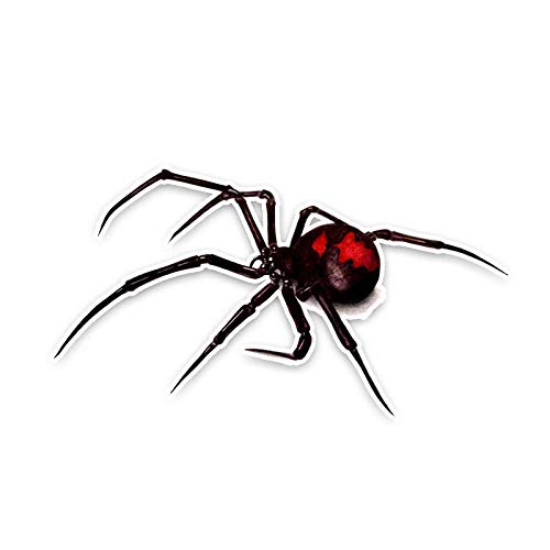 CSCH Auto-Aufkleber 13.8 * 7.5CM Black Widow Spider Dekoration Autoaufkleber Persönlichkeit Hochwertige Autoaufkleber von CSCH