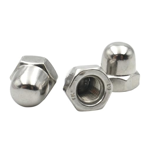 CSFFA 1/2/5/10/25/50 Stück M3 M4 M5 M6 M8 M10 M12 M14 M16 304 201 Edelstahl Dome Cap Mutter Acorn Hex Blind for Schrauben DIN1587(304 stainless steel,M14x2pcs) von CSFFA