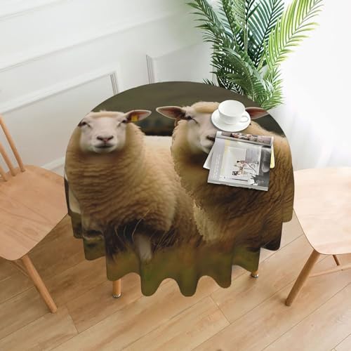 CSGJMYGS Two White Sheep Print Tablecloth Spill-Proof Water Table Cloth Decorative Fabric Table Cover for Home Kitchen Indoor and Outdoor Dining Table 152.4 cm CSGJMYGS Two White Sheep Print Tablecloth Spill-Proof Water Table Cloth Decorative Fabric Table Cover for Home Kitchen Indoor and Outdoor Dining Table 152.4 cm von CSGJMYGS