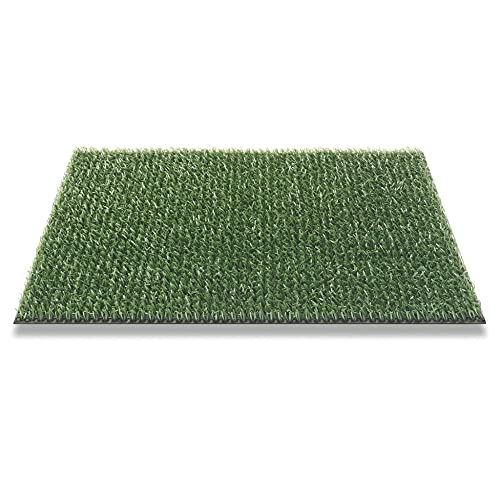 CSN Astro Turf Fußmatte | Eingangstürmatte | Fußabtreter für Innen und Außen | Polyethylen Bürstenmatte | Kunstrasen Wetterfest Matte | Antrazit/Silber/Braun/Grün (91 x 100 cm, Grün) von CSN