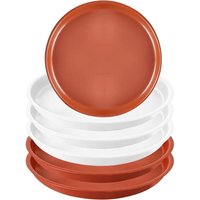 Csparkv - Set mit 6 Blumentopf-Untersetzern, 20 cm, Kunststoff-Pflanztablett unter Pflanzgefäß, runde, wiederverwendbare Untertopfplatten für drinnen Csparkv - Set mit 6 Blumentopf-Untersetzern, 20 cm, Kunststoff-Pflanztablett unter Pflanzgefäß, runde, wiederverwendbare Untertopfplatten für drinnen von CSPARKV