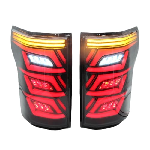 CSRBOOMEE Auto-Rücklicht für Ford F150 2015-2019 US Version, Stoßfester Auto-Rücklicht-Ersatz,Smoked Black A Pair von CSRBOOMEE