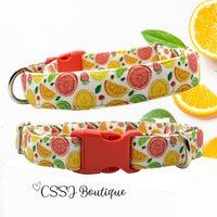 Obst/Orangen Bunt Sommer Süß Mittelgroße Hundehalsbänder 2, 5 cm Oder Breit von CSSJBoutique