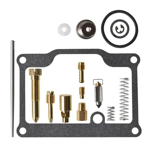 CSSPDM Motordichtung Vergaser Carb Rebuil Reparatur Kit Für Polaris Für Trail Für Blazer 250 Für Trail Boss 250 Membran Nadel Ventil Float von CSSPDM