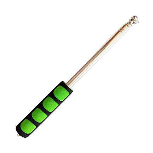 CSXMONEY Teleskop-Fahnenmast, Edelstahl, teleskopisch mit Schwammgriff, für Reiseleiter, Camping, Reisen, Marscher, Flaggen, Banner (B-1,6 m) von CSXMONEY