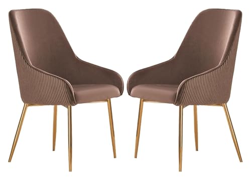 CSYQPDMBDL Esszimmerstühle, Esszimmerstuhl, Esszimmerstühle 2er-Set, mit hoher Rückenlehne for Schlafzimmer/Wohnzimmer/Laden(Brown) von CSYQPDMBDL