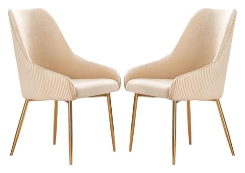 CSYQPDMBDL Esszimmerstühle, Esszimmerstuhl, Esszimmerstühle 2er-Set, mit hoher Rückenlehne for Schlafzimmer/Wohnzimmer/Laden(White) von CSYQPDMBDL