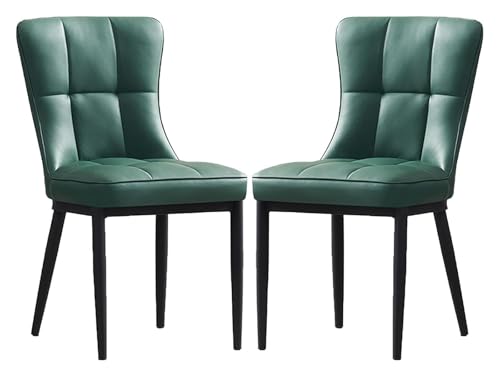 CSYQPDMBDL Esszimmerstühle, Esszimmerstuhl, Esszimmerstühle 2er-Set mit Metallbeinen und Sitz for Wohnzimmer, Schlafzimmer(E) von CSYQPDMBDL
