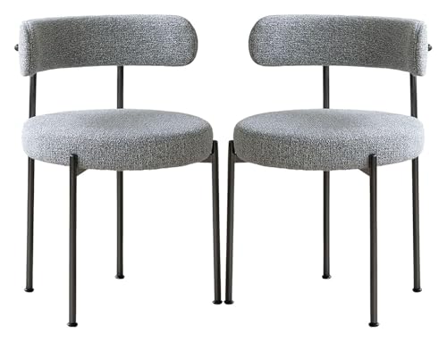 CSYQPDMBDL Esszimmerstühle, Esszimmerstuhl, Küchen-Esszimmerstuhl, runder Stuhl mit gebogener Rückenlehne und Metallbeinen for Wohnzimmer, Schlafzimmer von CSYQPDMBDL