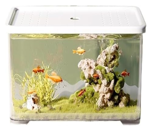 CSYQPDMBDL Kugelaquarium, Goldfischglas, Fischschale, kleines Wohnzimmer, Desktop-Fischbecken mit Deckel CSYQPDMBDL Kugelaquarium, Goldfischglas, Fischschale, kleines Wohnzimmer, Desktop-Fischbecken mit Deckel von CSYQPDMBDL