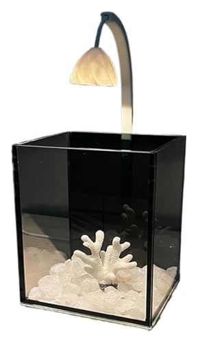 CSYQPDMBDL Kugelaquarium, Goldfischglas, Fischschale Glasaquarium for einen kleinen Fisch Desktop kleines Aquarium mit Lichtern Heimdekoration Aquarien CSYQPDMBDL Kugelaquarium, Goldfischglas, Fischschale Glasaquarium for einen kleinen Fisch Desktop kleines Aquarium mit Lichtern Heimdekoration Aquarien von CSYQPDMBDL