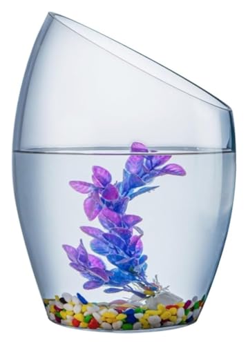 CSYQPDMBDL Kugelaquarium, Goldfischglas, Fischschale Transparentes Glas Kleines Aquarium Mehrzweck-Goldfischaquarium(Large) von CSYQPDMBDL