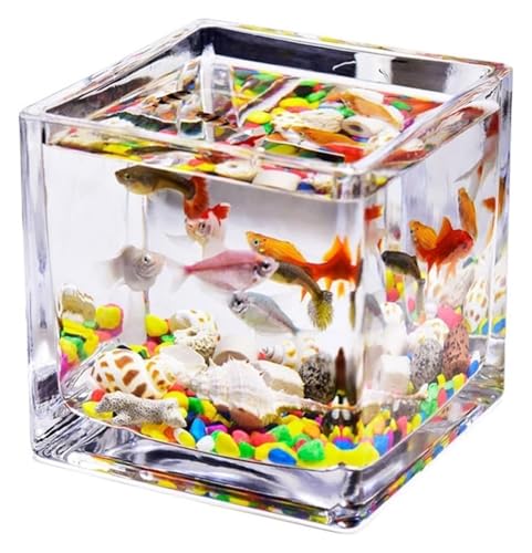 CSYQPDMBDL Kugelaquarium, Goldfischglas, Verdicktes transparentes Aquarium-Tank-Arbeitsplatten-Kleines Heimtank(Medium) von CSYQPDMBDL