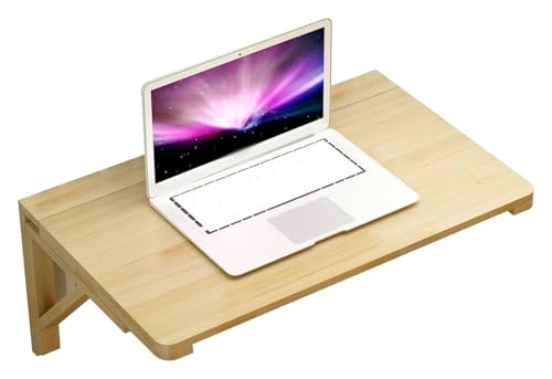 CSYQPDMBDL Wandklapptisch, Wandklapptisch, klappbar, Wandklapptisch, klappbare Werkbank, Laptop-Arbeitsplatz, platzsparend, für Waschküche, Arbeitszimmer (60 x 45 cm (23,6 x 17,7 Zoll)) von CSYQPDMBDL