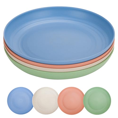 CSYY 10 Zoll großes Campingteller-Set, 4-teiliges unzerbrechliches Plastikteller-Set, tiefe Essteller, wiederverwendbare Picknickteller für Salat, Pasta, Party, Zuhause von CSYY