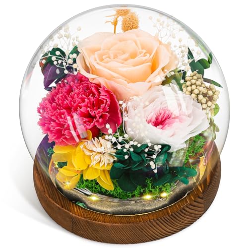 CSYY Ewige Rose, Muttertagsgeschenk Glas Infinity Glasrose Konservierte Unendliche Haltbare Rote Blume Licht Eternal Geschenke Frauen Mama Freundin Ehefrau Valentinstag Geburtstag Rosa von CSYY