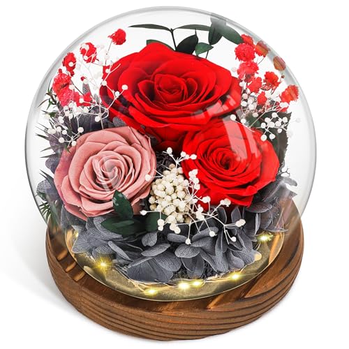 CSYY Ewige Rose, Glas Infinity Glasrose Konservierte Unendliche Haltbare Rote Blume Licht Eternal Geschenke Frauen Mama Freundin Ehefrau Valentinstag Geburtstag Rot von CSYY