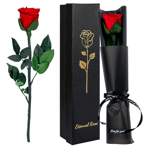 Infinity Rose in Geschenkbox, Rot Ewige Rose mit Stiel mit konservierte Rosen Geschenk für Frauen Mutter Schwester Ehefrau Am Valentinstag Muttertag Weihnachtstag von CSYY
