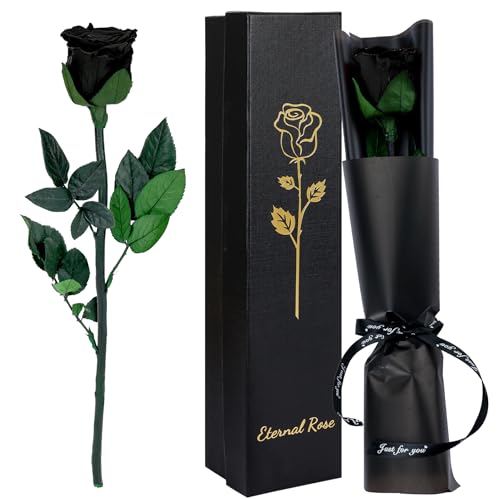 CSYY Infinity Rose in Geschenkbox, Schwarz Ewige Rose mit Stiel mit konservierte Rosen Geschenk für Frauen Mutter Schwester Ehefrau Am Valentinstag Muttertag Weihnachtstag von CSYY