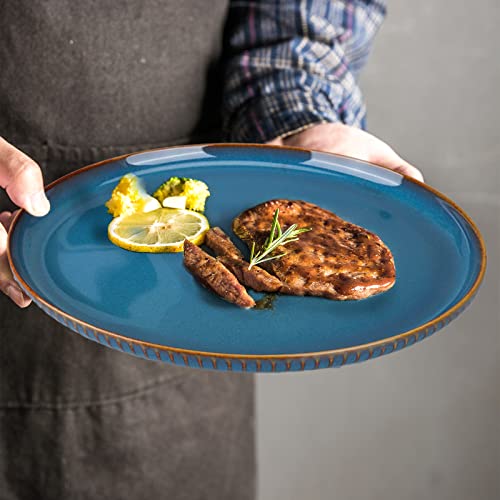 CSYY Große Speiseteller, 26,7 cm Porzellanteller Blau Salatteller, Runde Pastateller 2er Set für Abendessen, Mittagessen, Küche, Party, Spülmaschinen- und Mikrowellengeeignet von CSYY