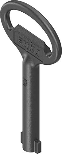 CTA Dichtungen 1x 5mm DB Doppelbartschlüssel Steckschlüsse Schaltschrank Rittal schwarz 1C04-06 von CTA Dichtungen