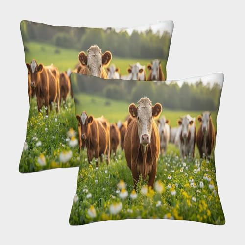CTAMM 50x50cm 2er-Pack,Kissenbezug Kuh Dekorativer Kissenbezug Cartoon Garten-Außensofa Wohnzimmer Heimdekoration Dekorativer Kissenbezug von CTAMM