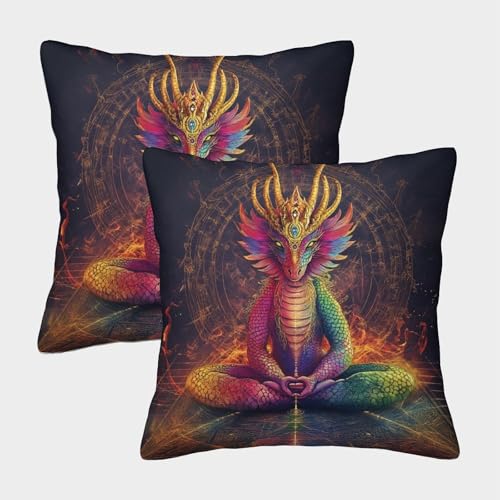 CTAMM Bauernhaus-Kissenbezug 2er-Pack 50x50cm Für Landhaus-Dekoration,modernes Sofa,Queen Regenbogen Drache Deko-Kissenbezug,Sofa-Bett,Heilige Geometrie Deko-Kissenbezug,Dekoration von CTAMM