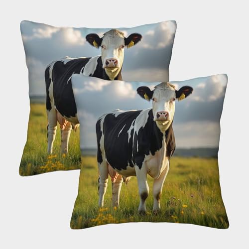CTAMM Kuh Stilvolle Kissenhülle Cartoon Mit Reißverschluss Passend Für Sofa,Schlafzimmer,Auto Elegantes Design Für Moderne Wohnräume 45x45cm 2er-Pack von CTAMM