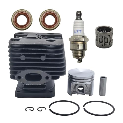 40mm Zylinderkolben Kurbelwellen-Öldichtungssatz Passend for FT250 HT250 FS250 FS250R FS202 FS120 FS200 Freischneider 4134 020 1214 von CTASRIM