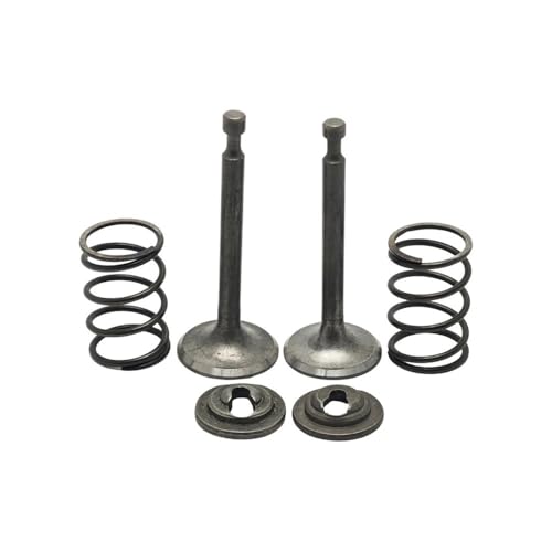 Einlassfeder-Spannzangenhalter-Set passend for GX160 GX200 168F 170F 5,5–6.5 PS Motor, Generator, Rasenmäher Einlassfeder-Spannzangenhalter-Set passend for GX160 GX200 168F 170F 5,5–6.5 PS Motor, Generator, Rasenmäher von CTASRIM