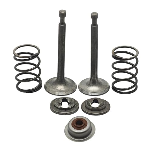 Haltefederschaftdichtungssatz Passend for GX160 GX200 5.5HP 6.5HP Rasenmähermotor Motor Ersatzteil von CTASRIM
