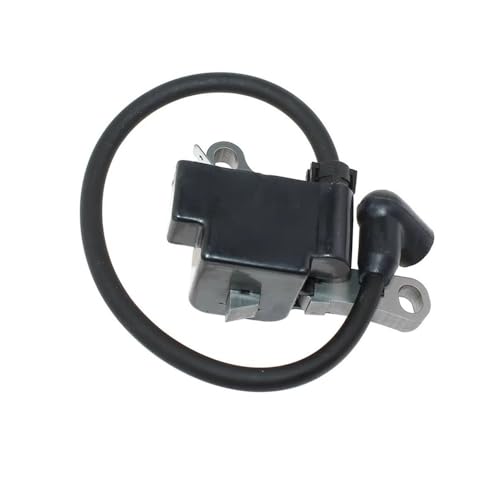 Zündspule Fit for M21ZMR M21ZMRA M21ZMRB M21ZMRC M21ZMRD M21ZPR M21ZPRA M21ZPRB M21ZPRC M21ZPRD M21ZPRD von CTASRIM