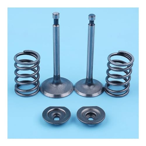 & Frühling & Frühling Retainer Fit for GX340 GX390 11HP 13HP GX 340 390 Benzin Motor von CTASRIM