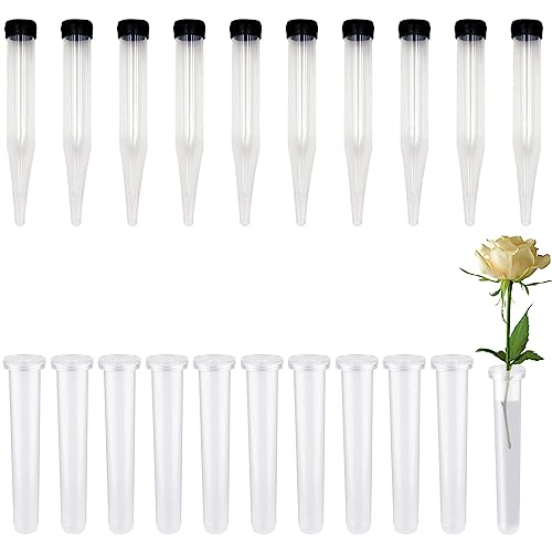 CTDMJ 20 Stück Blumen Wasserröhrchen Blumenröhrchen Kunststoff mit Silikonkappe Reagenzgläser für Blumen transparent, Wiederverwendbare für Blumenarrangements,Blumen Pflanzen,11x2.5 cm von CTDMJ