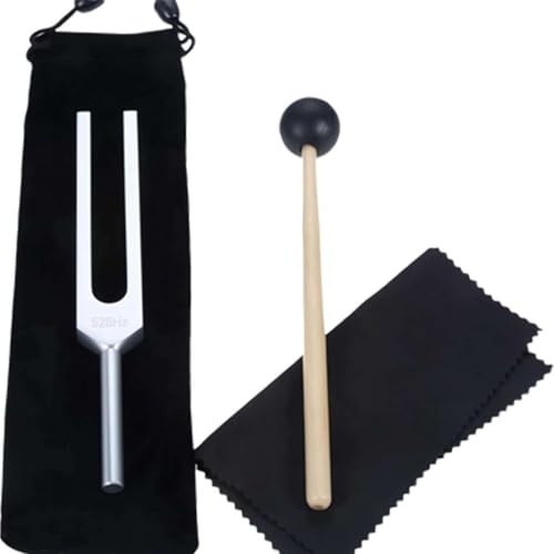 Heilinstrument 528Hz, Stimmgabeln für Heilung Set, Liebesfrequenz Heilgeräte, Reparatur Gehirn Körper Sound Gabeln, Heilung Chakra Stimmgabel mit Silikonhammer von CTDWNT