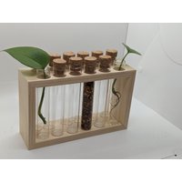 Vermehrungsstation Mit Glasröhrchen Und Korken von CTGWoodCreations