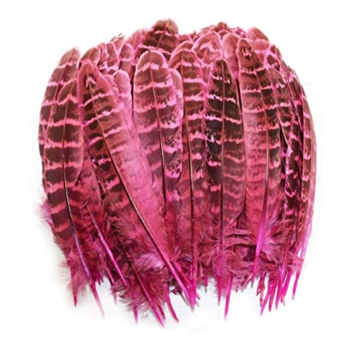 CTLH20 Natürliche Fasanenfedern für Kleidung, 10-15 cm, gefärbte weibliche Federn für Kunsthandwerk, Schmuck, Accessoires, Federn, Rosa, 20 Stück von CTLH20