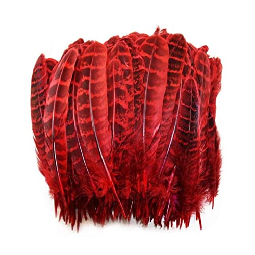 CTLH20 Natürliche Fasanenfedern für Kleidung, 10-15 cm, gefärbte weibliche Federn für Kunsthandwerk, Schmuck, Accessoires, Federn, rot, 20 Stück von CTLH20