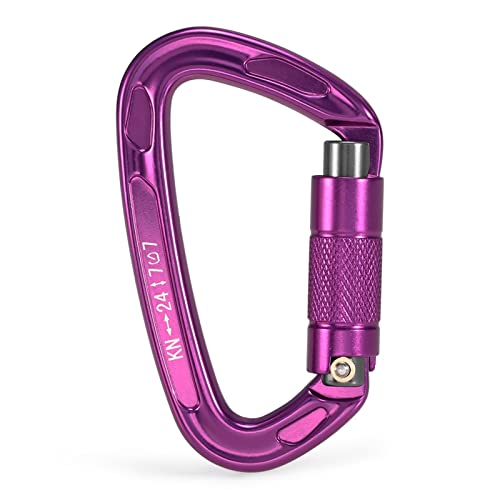 Karabinerhaken, Hochleistungshaken, Outdoor 24KN Twist Locking GateAuto Lock D-ring Schnalle Klettern Abseilen Canyoning Hängematte Locking Clip(Pansy) von CTRSM